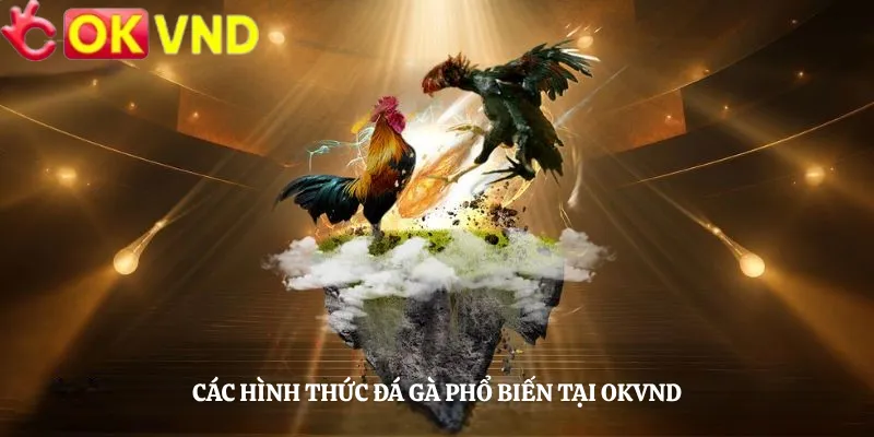 Các Hình Thức Đá Gà Phổ Biến Tại OKVND