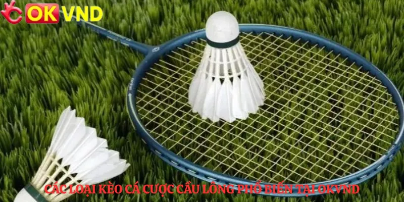 Các loại kèo cá cược cầu lông phổ biến tại OKVND