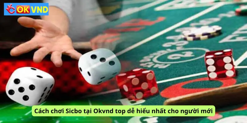 Cách chơi Sicbo tại Okvnd top dễ hiểu nhất cho người mới