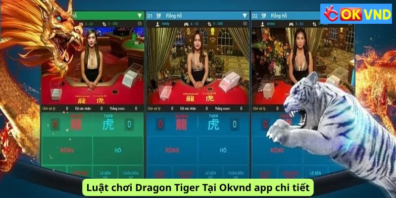 Luật chơi Dragon Tiger Tại Okvnd app chi tiết